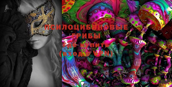 mdpv Нягань
